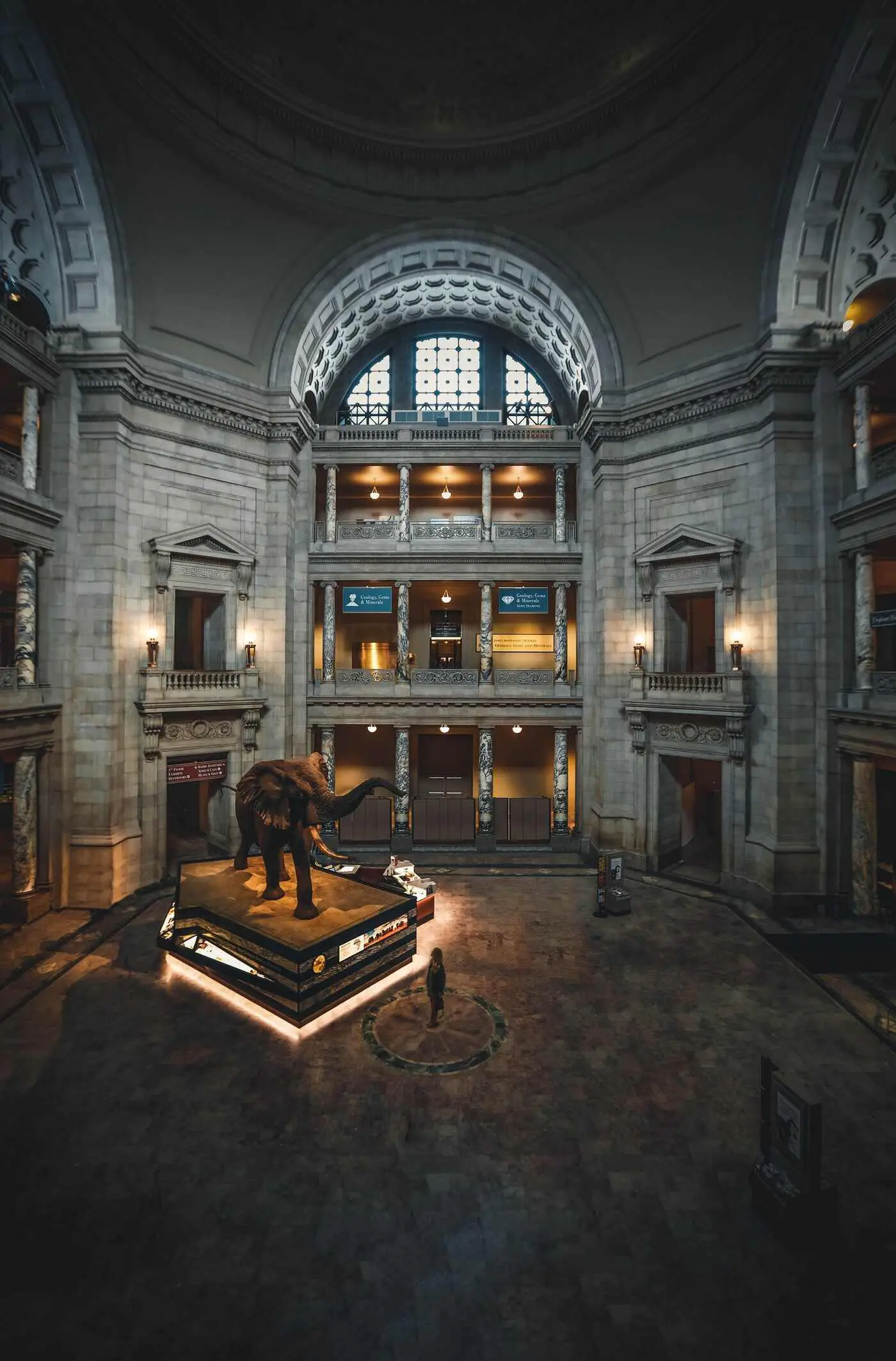 A shot of a museum with an elephant statue