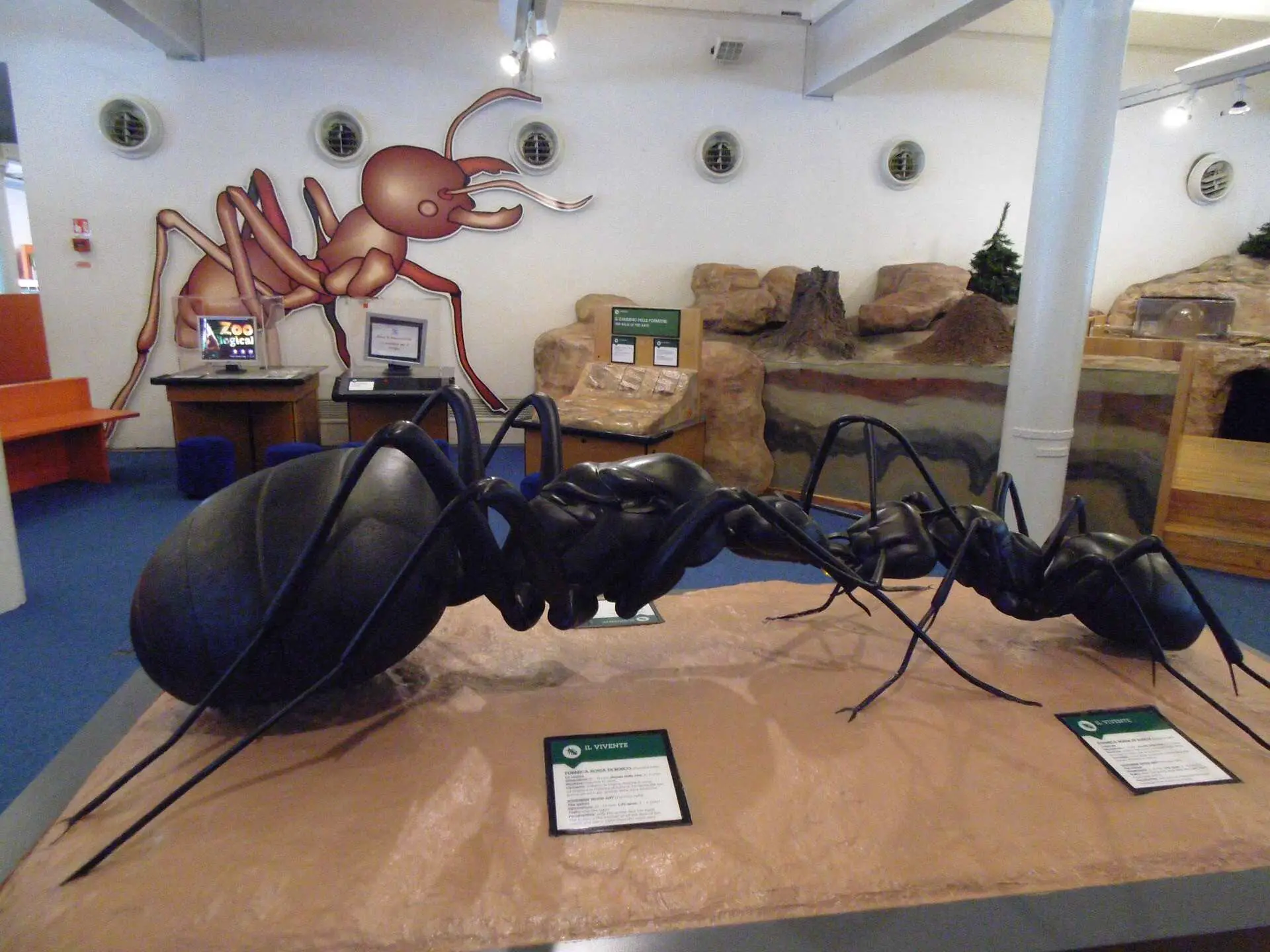 Huge ant